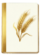 麦乐笔记